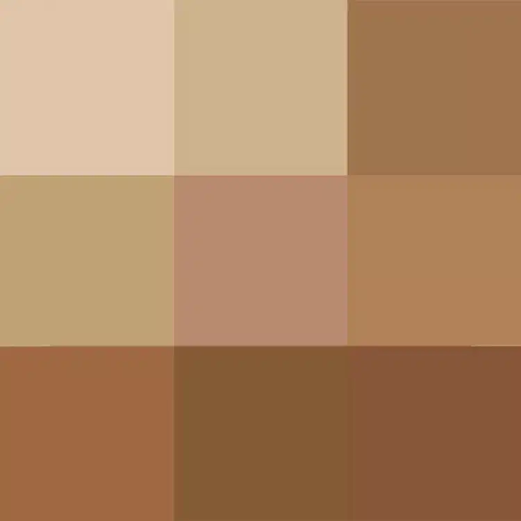 Paleta de polvo profesional Ruby Rose - Imagen 2